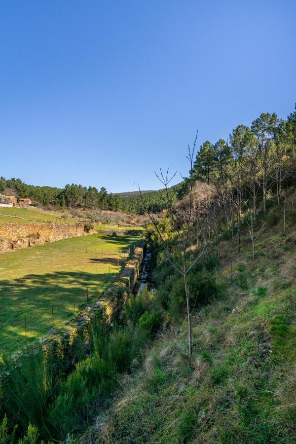 Aradas, Pampilhosa Da Serra, Casa Da Oliveira, Wifi, Ar Condicionado, Churrasqueira, Parqueamento, By Ig Unhais-o-Velho Bagian luar foto